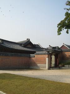 IMG_0318_resize.JPG